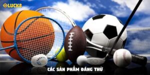 Các sản phẩm đáng thử