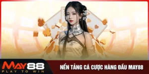 Giới Thiệu May88 - Nền tảng cá cược hiện đại bảo mật cao