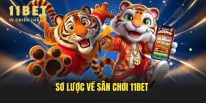 Vài nét sơ lược về sân chơi 11BET 