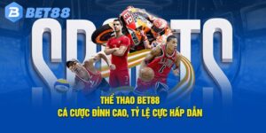 Giới thiệu thông tin sảnh thể thao chất lượng tại BET88